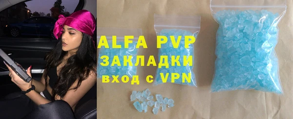 мяу мяу мука Иннополис