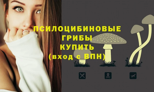 мяу мяу мука Иннополис