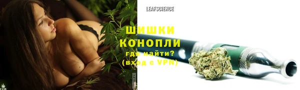 мяу мяу мука Иннополис