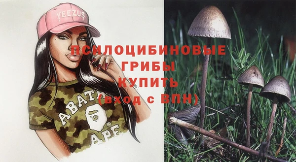 мяу мяу мука Иннополис