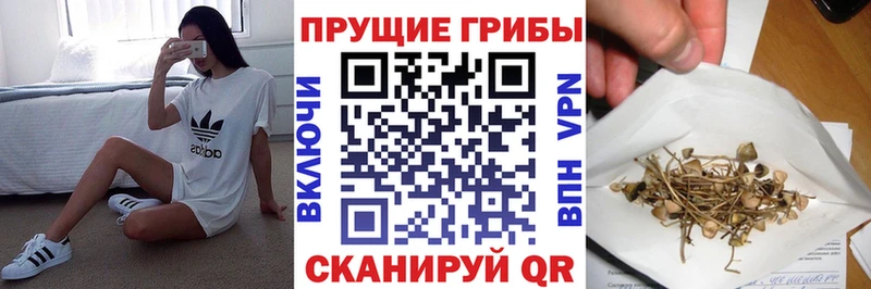 Галлюциногенные грибы MAGIC MUSHROOMS  это официальный сайт  Котельники 