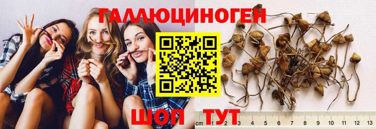 Псилоцибиновые грибы MAGIC MUSHROOMS  Псилоцибиновые грибы Magic Shrooms  Вход с VPN  хочу наркоту  Котельники 