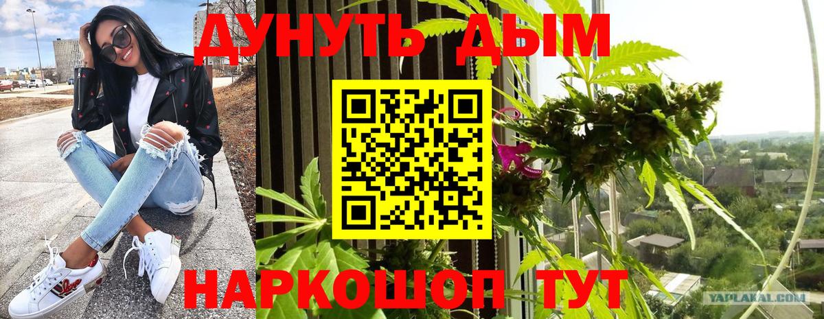 Каннабис SATIVA & INDICA Котельники